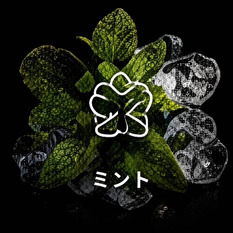 cat-mint
